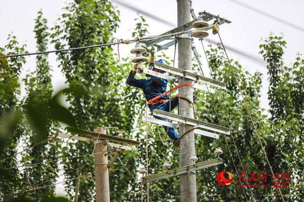 1562318548939.jpg LOCAL201907031718000361506274561.jpg